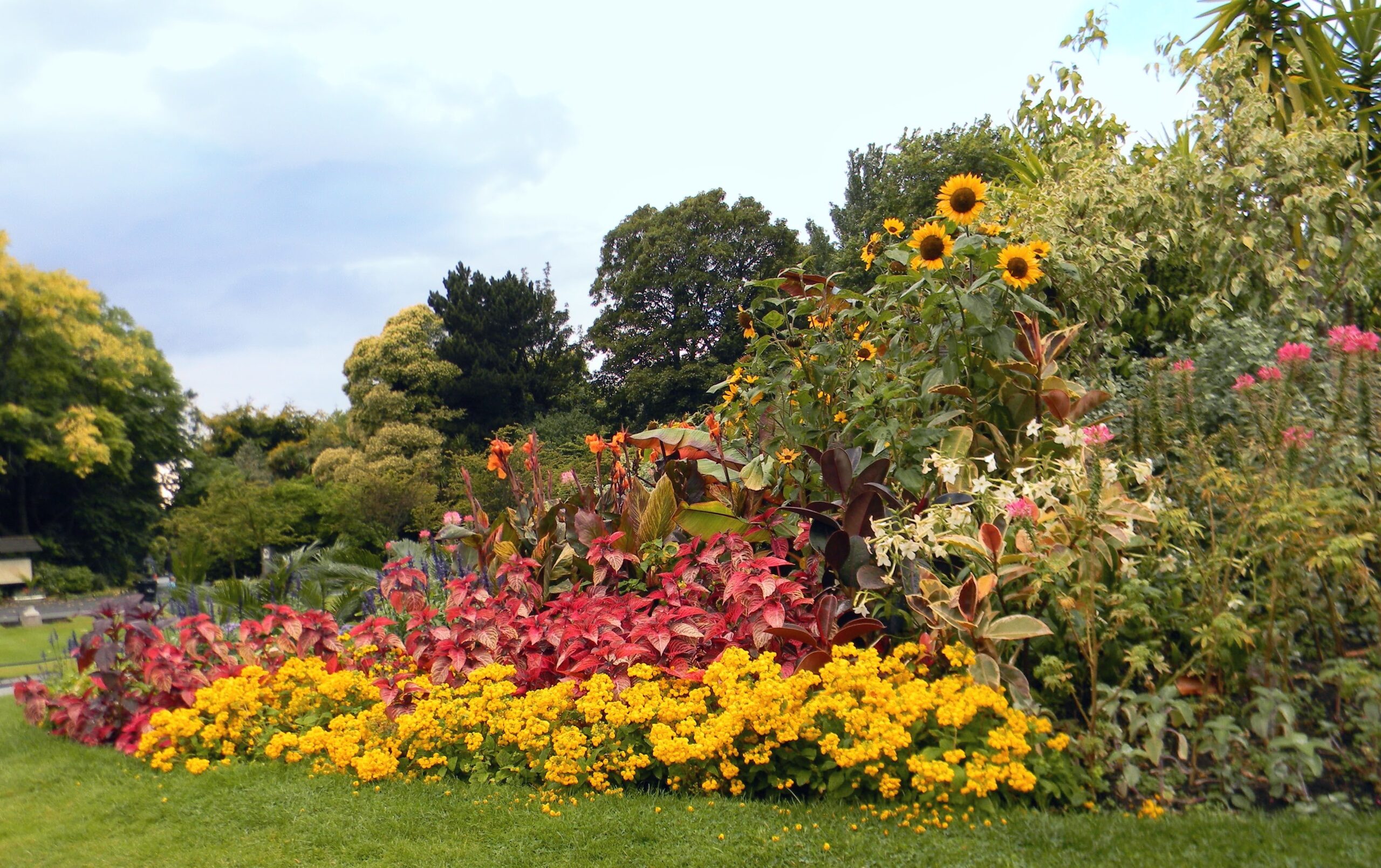 Tu vida es tu jardín ¡Cuídalo!